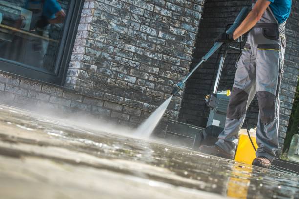 Best Fleet Vehicle Washing  in La Grulla, TX