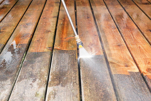 Professional  Pressure Washing Services in La Grulla, TX